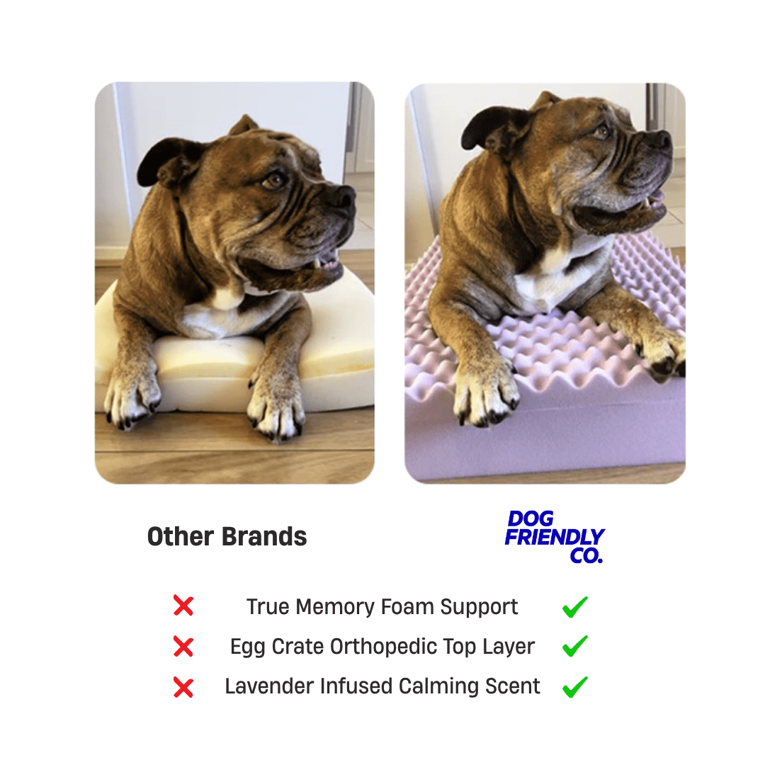 Premium Orthopedic Memory Foam Dog Bed - Brown Bouclé (Small)