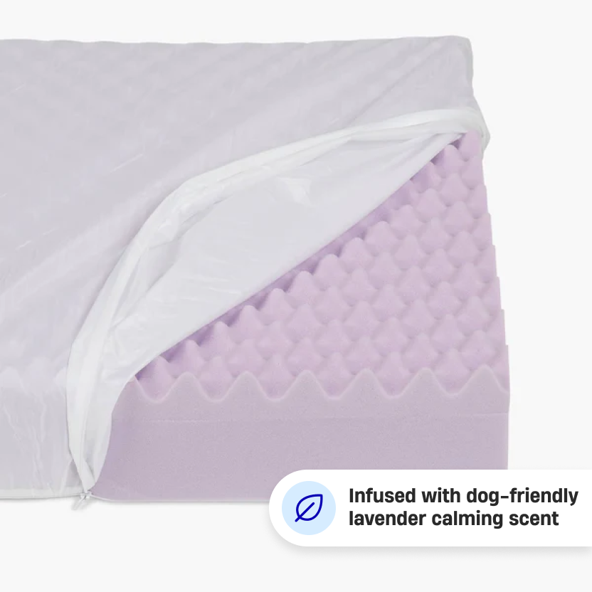 Premium Orthopedic Memory Foam Dog Bed - Pink (Medium)