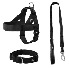 Bundles Image