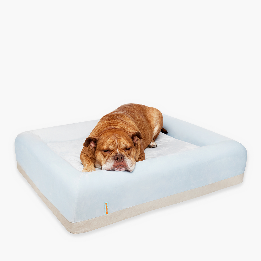 Comfort Pack - Blue