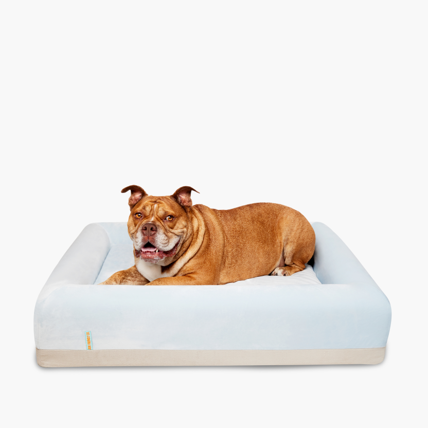 Comfort Pack - Blue