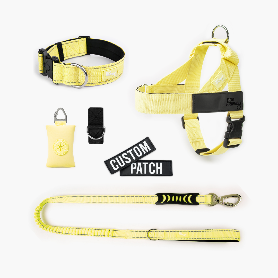 Walk Essentials - Yellow