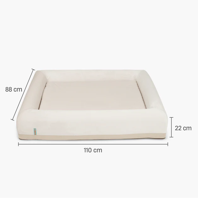 Orthopedic Memory Foam Dog Bed - Beige (Large)