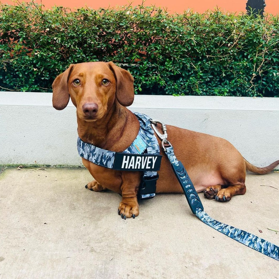 Dog Harness - Grey Camo