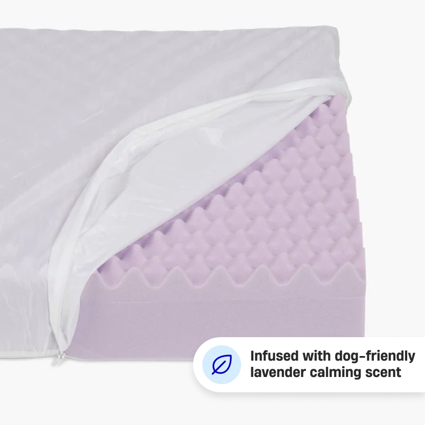 Orthopedic Memory Foam Dog Bed - Pink (Large)