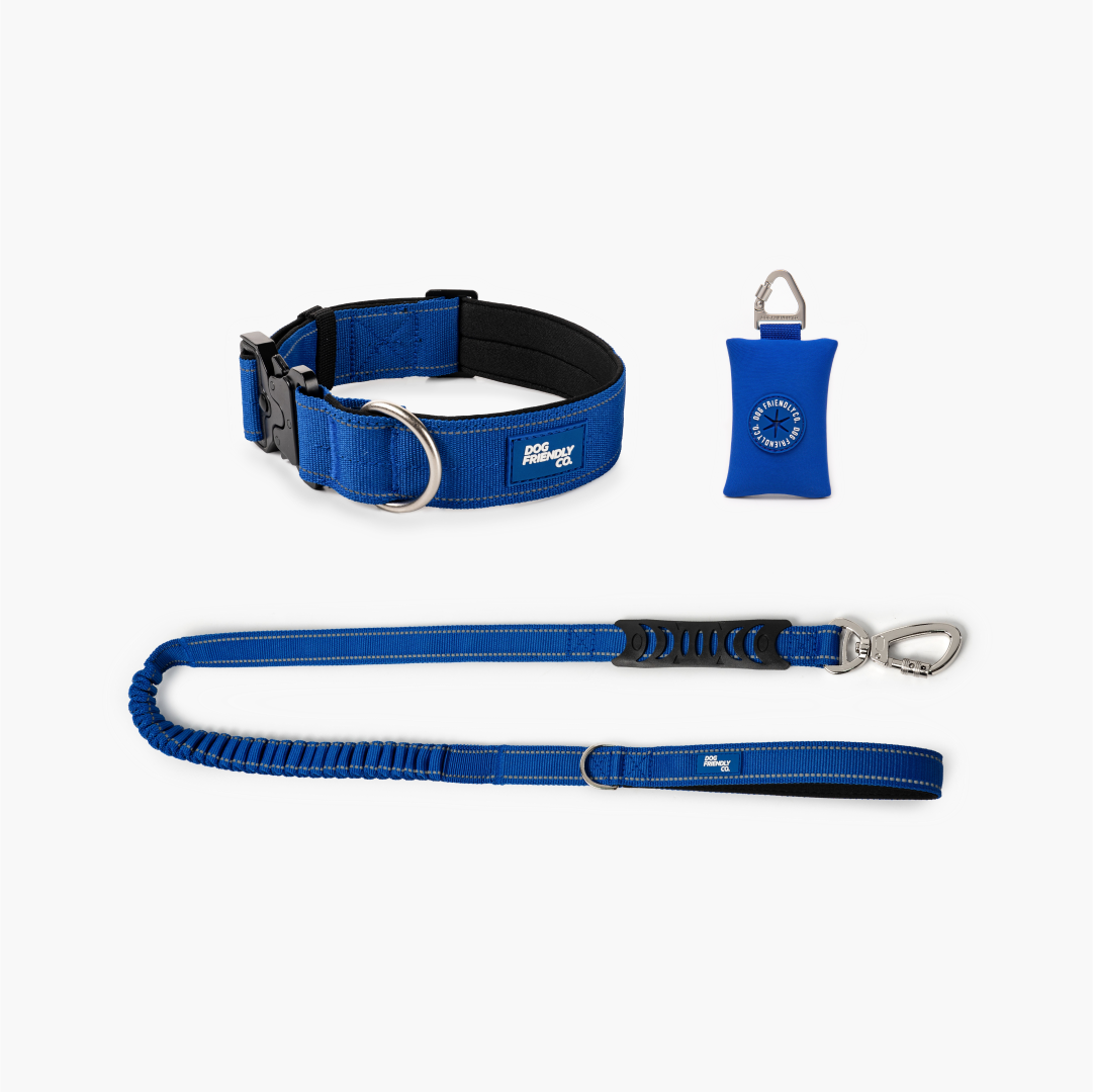 Collar Walk Set