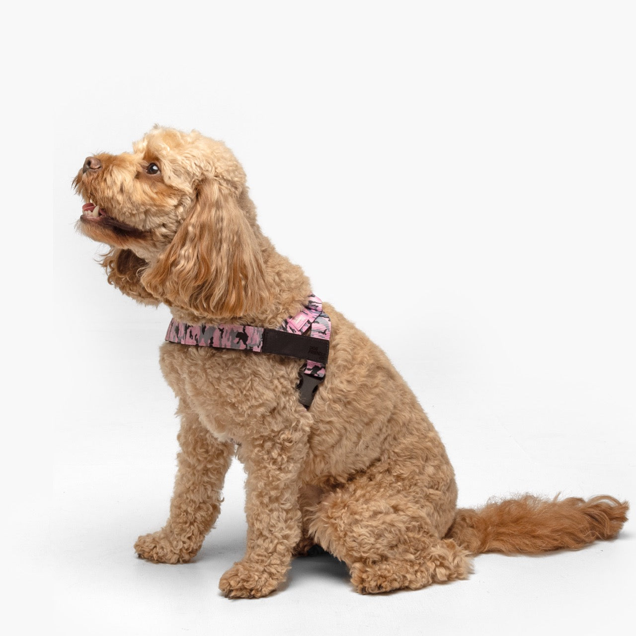 Dog Harness - Pink Camo