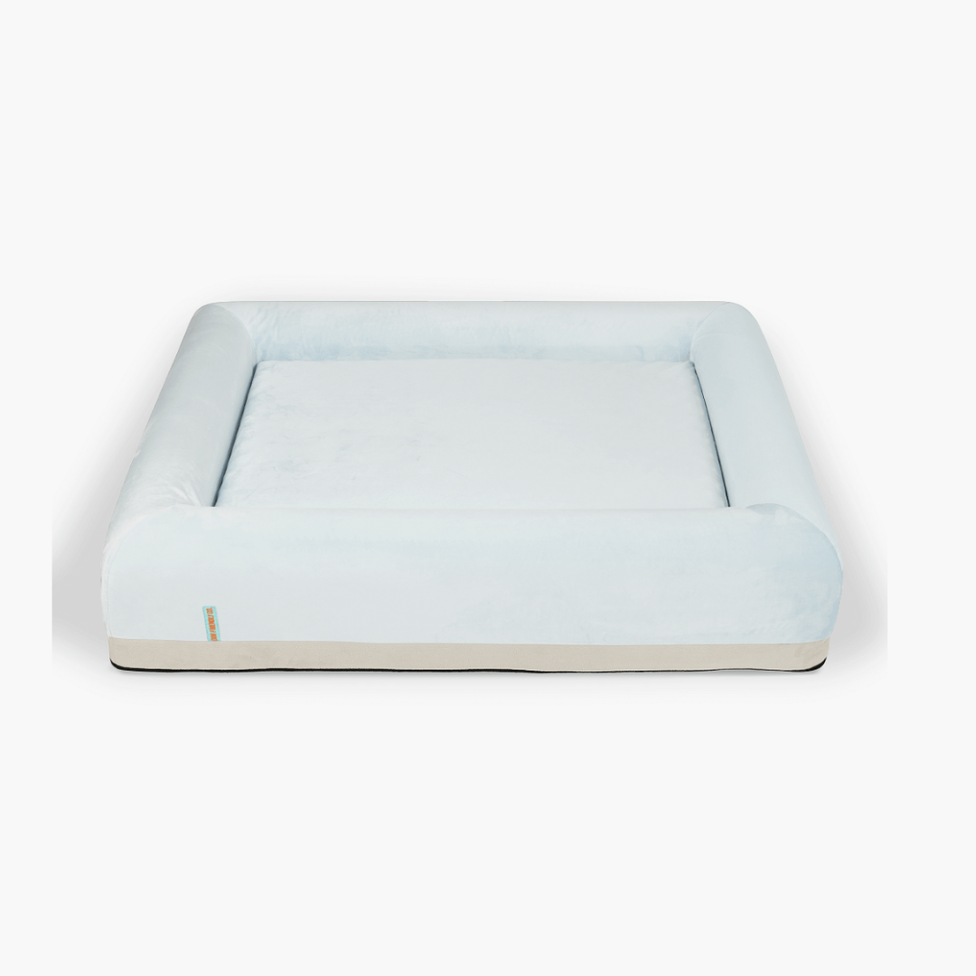 Orthopedic Memory Foam Dog Bed - Sky Blue (Medium)