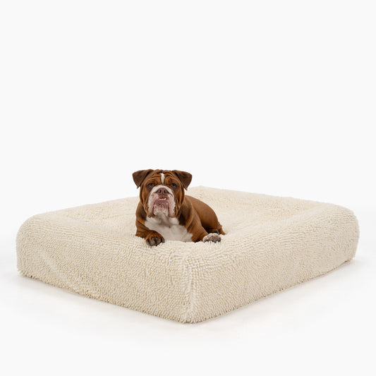 Premium Orthopedic Memory Foam Dog Bed - Cream (Medium)