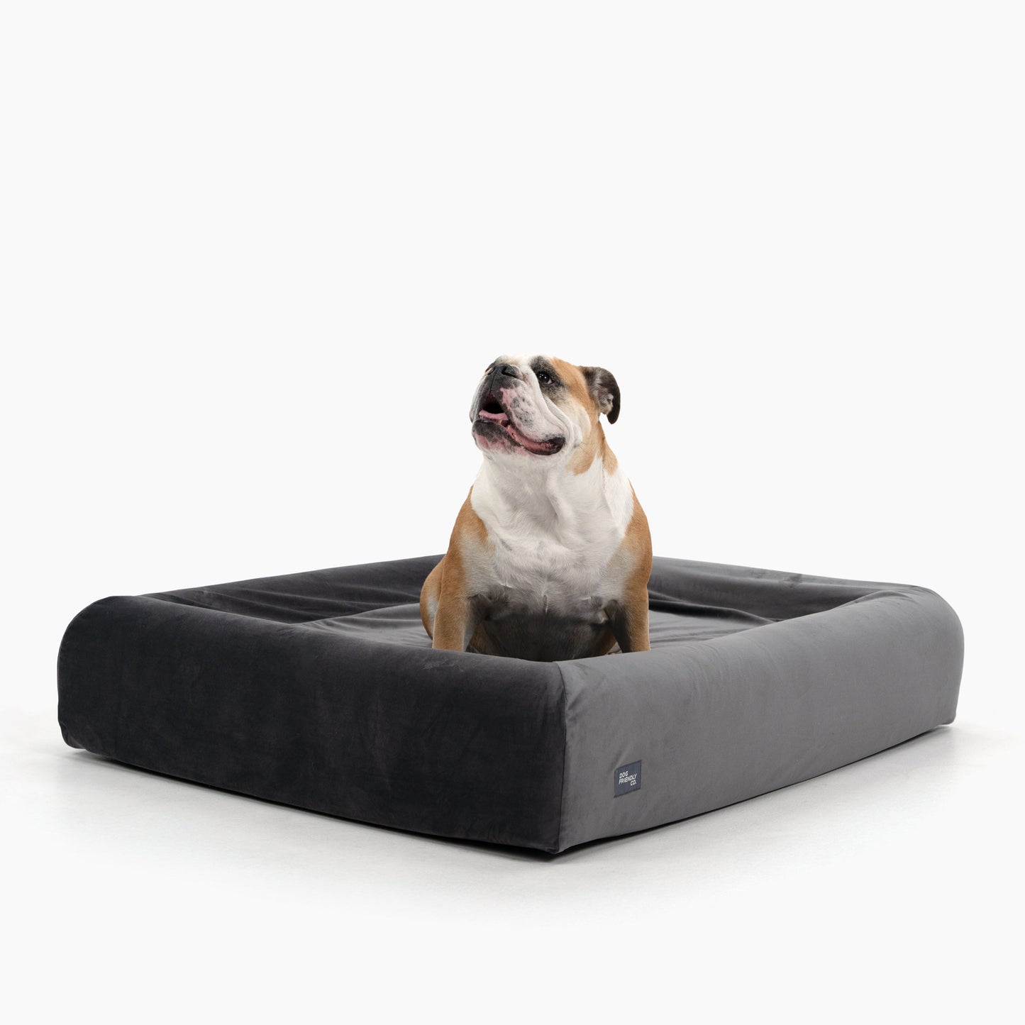 Orthopedic Memory Foam Dog Bed - Charcoal (Medium)