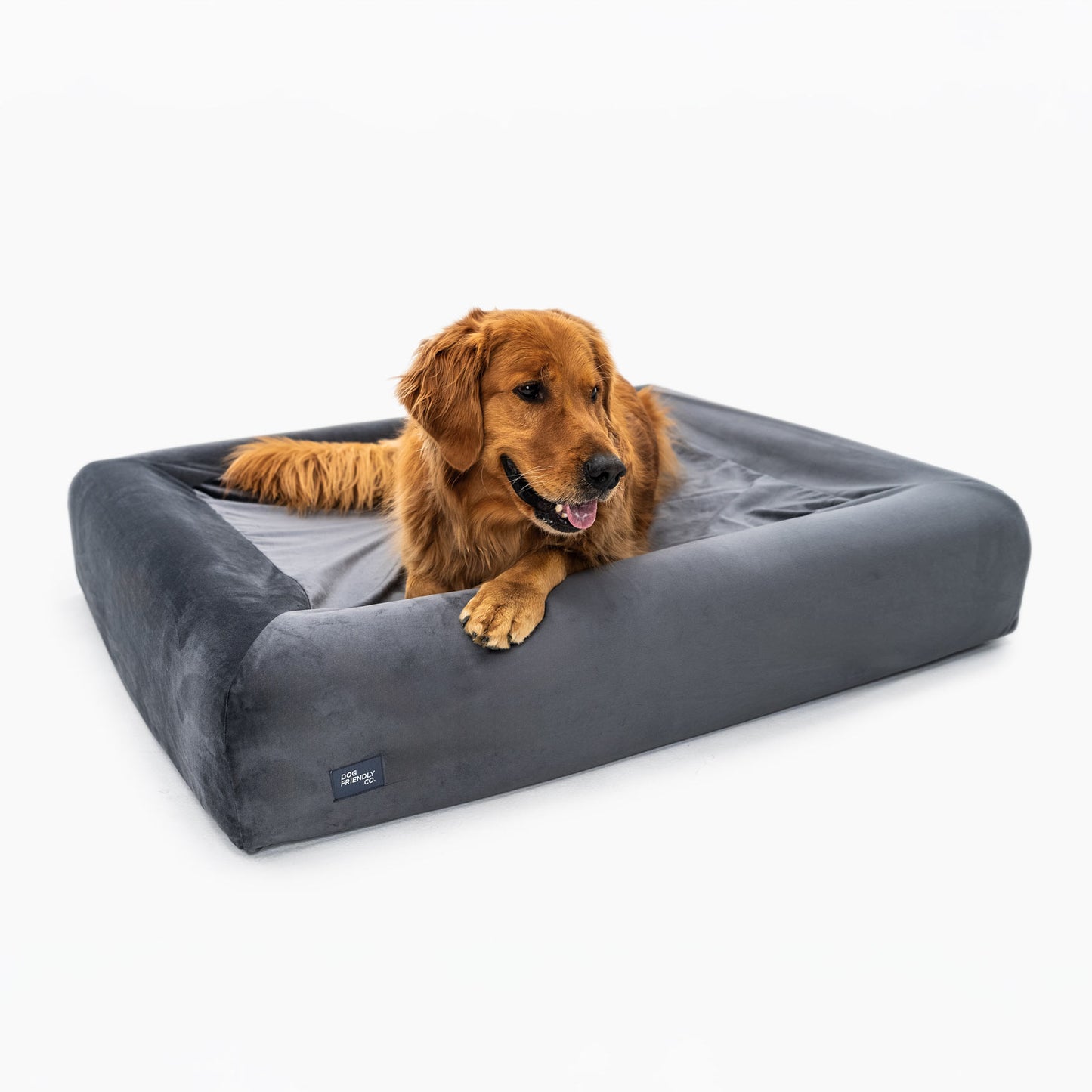 Orthopedic Memory Foam Dog Bed - Charcoal (Medium)