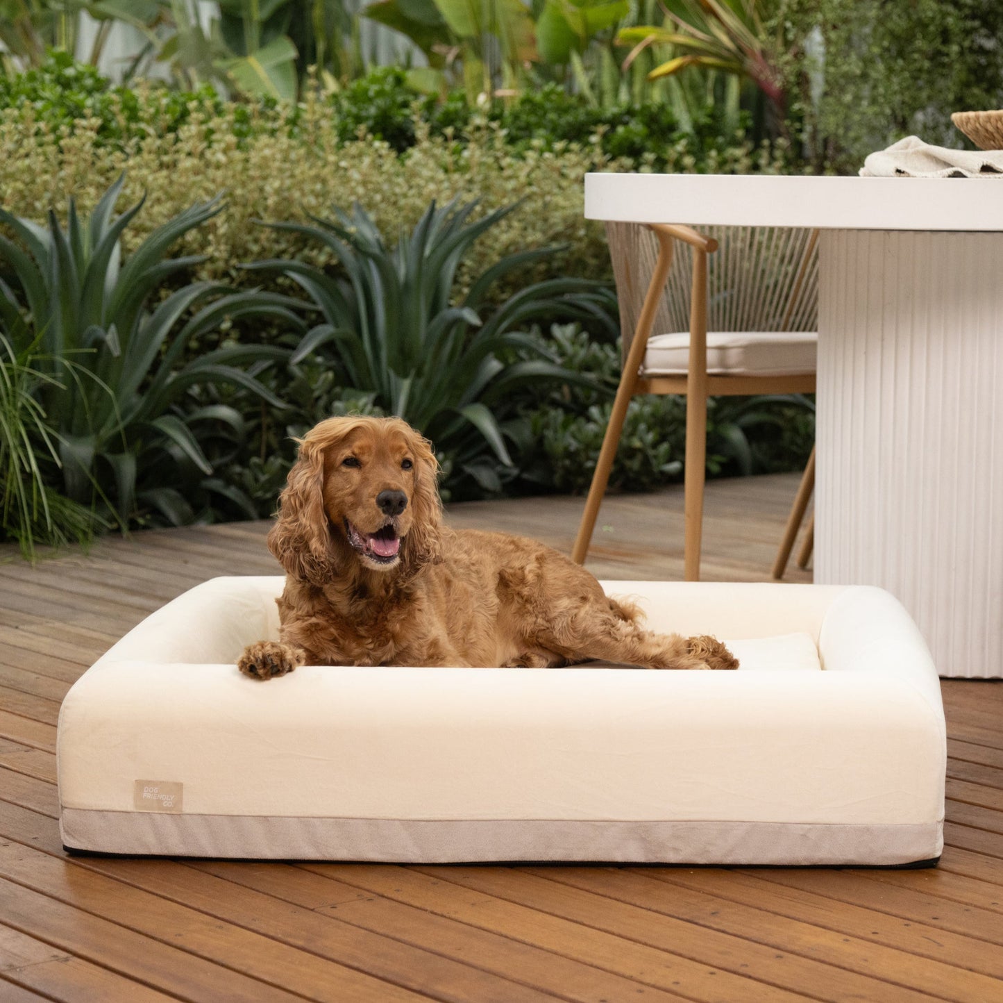 Premium Orthopedic Memory Foam Dog Bed - Beige (Small)