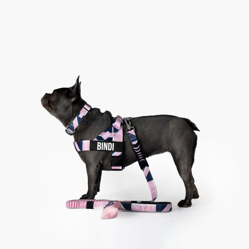 Dog Harness - Limited Edition Pink