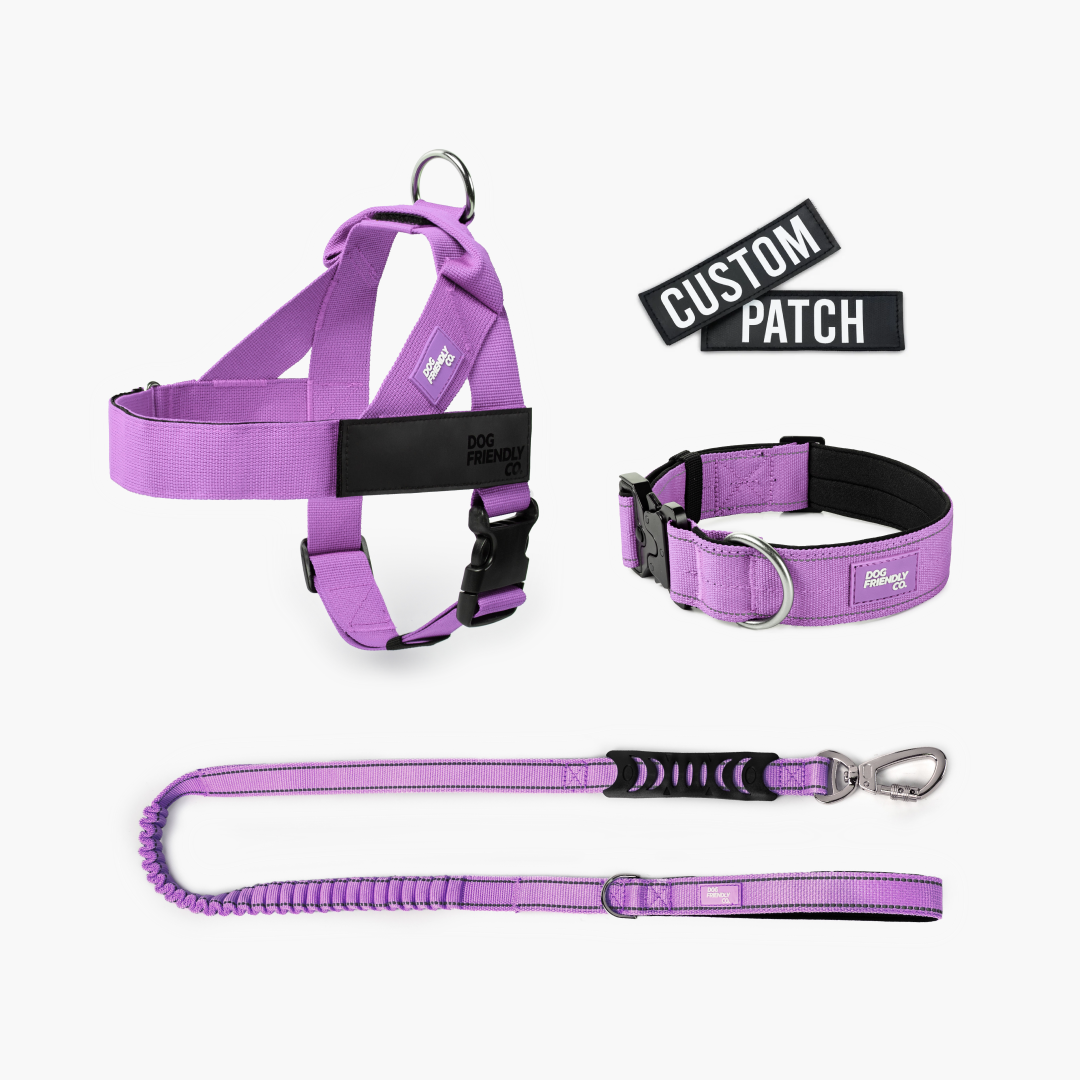 Dog Lovers Pack - Purple