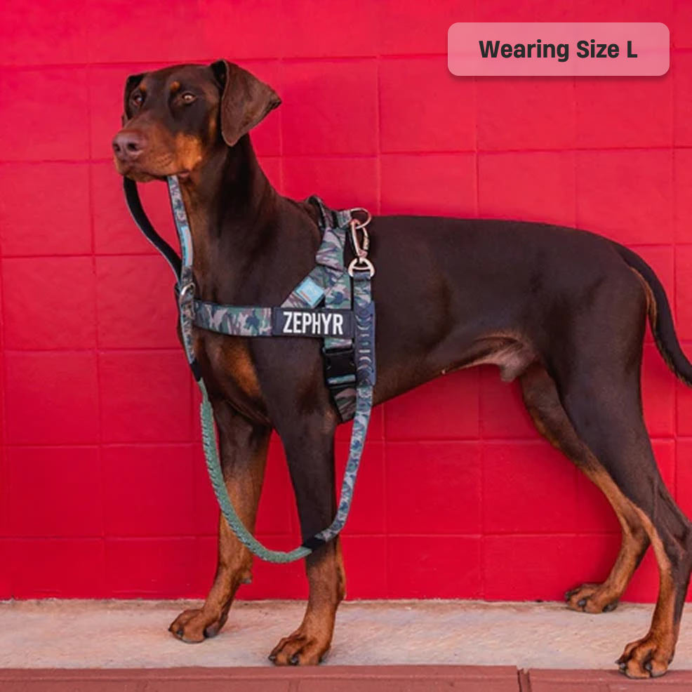 Dog Harness - Green Camo