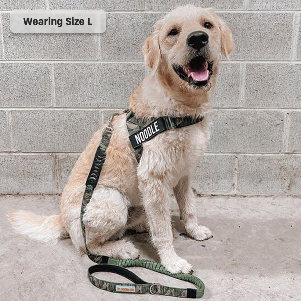 Dog Harness - Green Camo