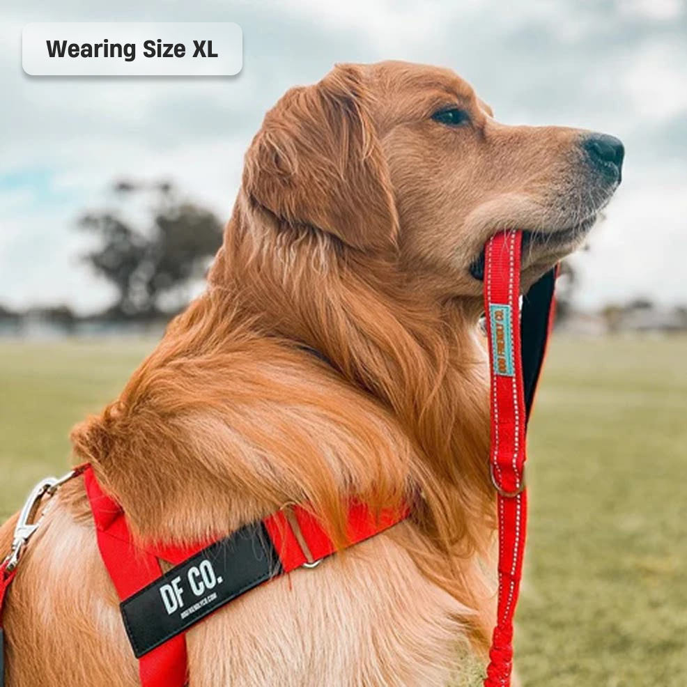 Dog Harness - Red