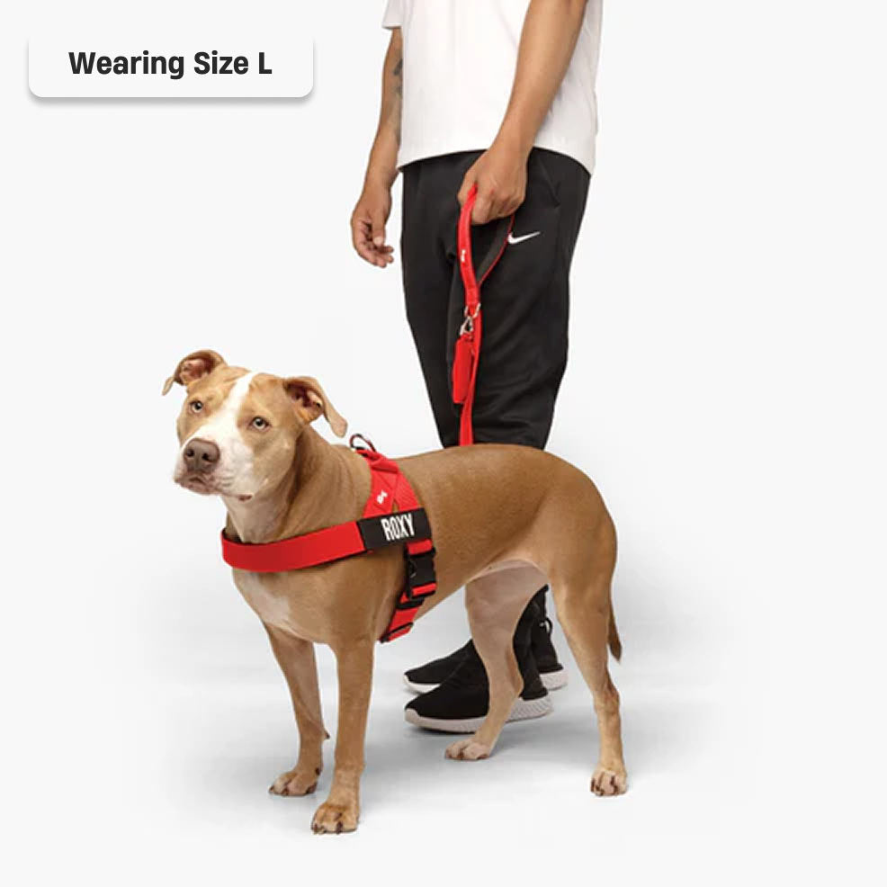 Dog Harness - Red