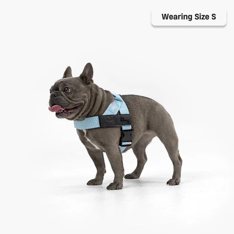 Dog Harness - Sky Blue