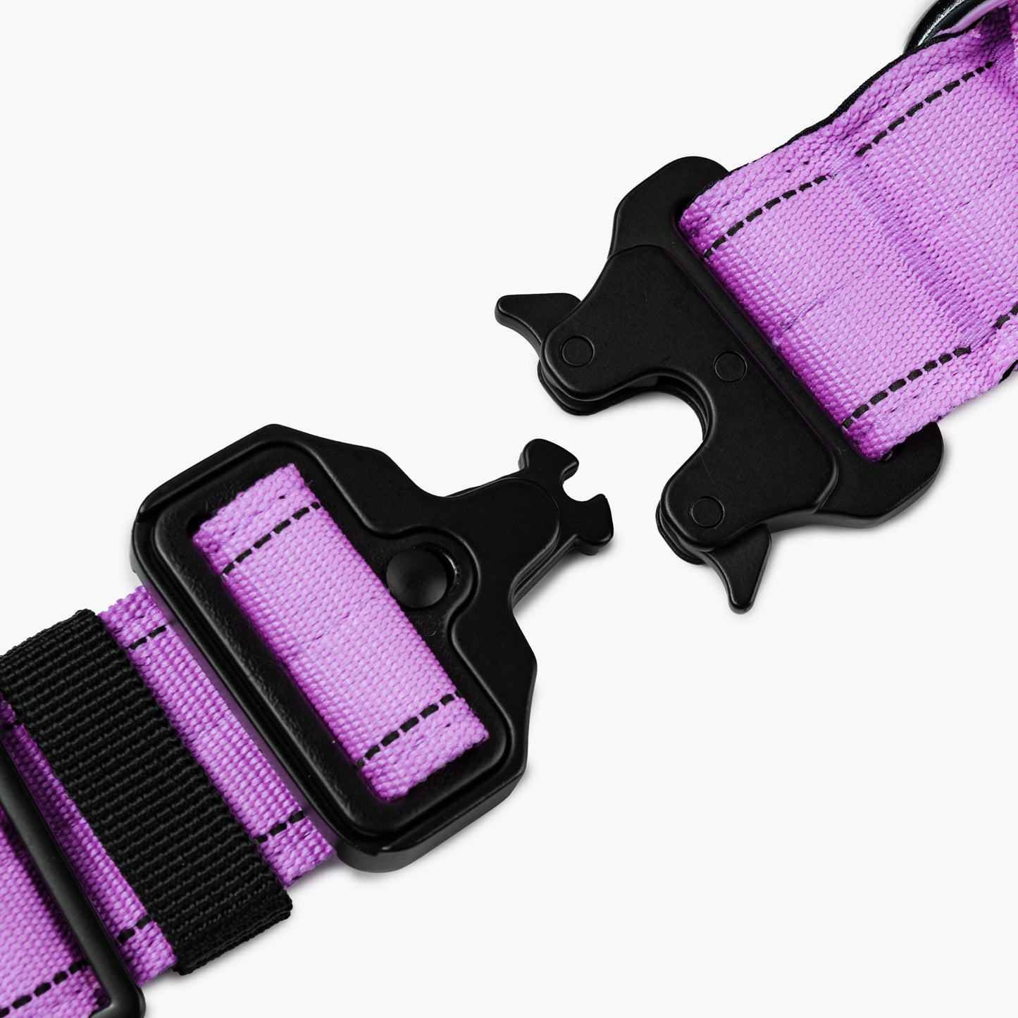 Tactical Dog Collar - Purple