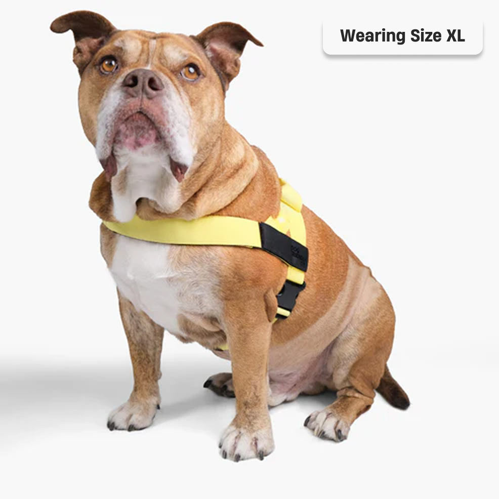 Dog Harness - Yellow